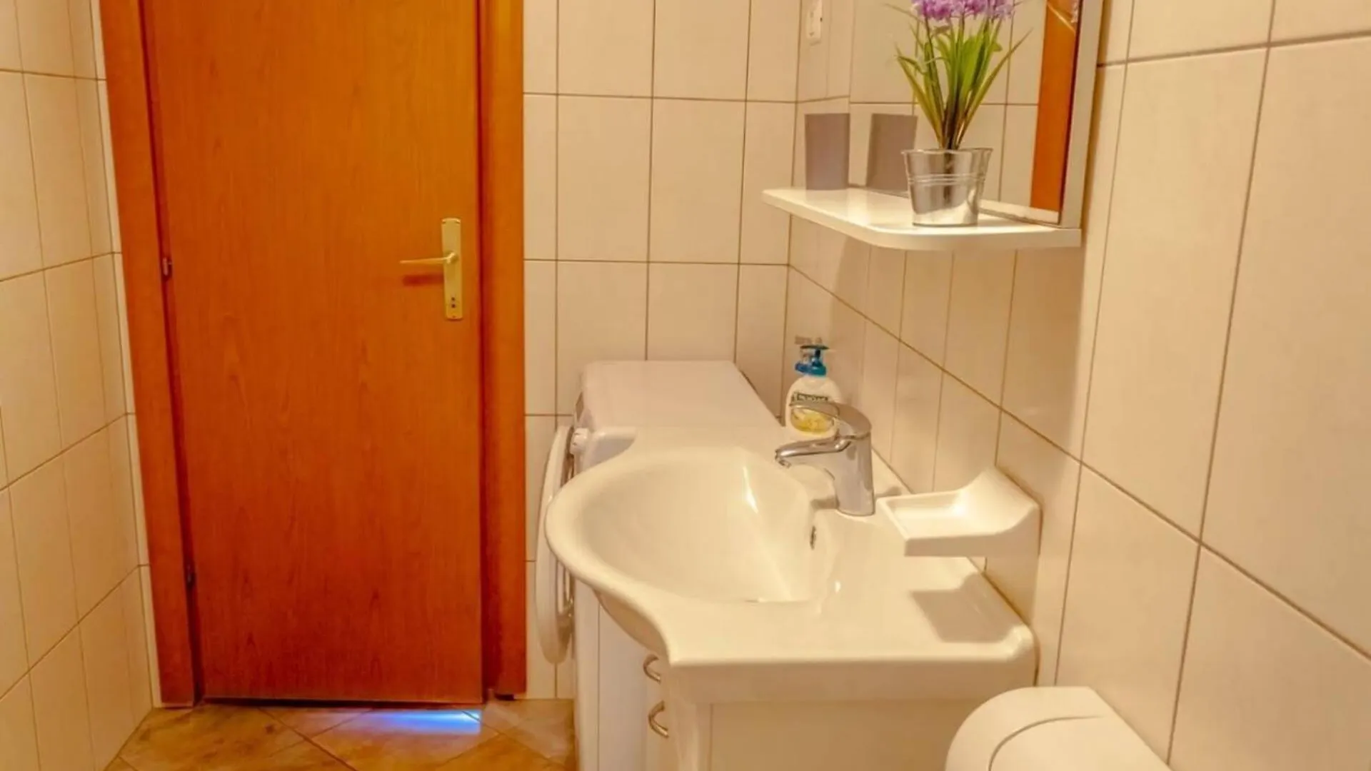 Comfort And Affordable Apartments Slavica 普拉
